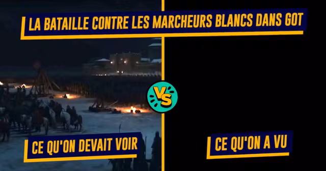 UNE-TOP-FILMS-MAUVAISE-ETALO