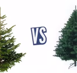 battle-345685-1419267694