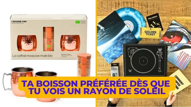 INDISPENSABLE-MOSCOW-MULE