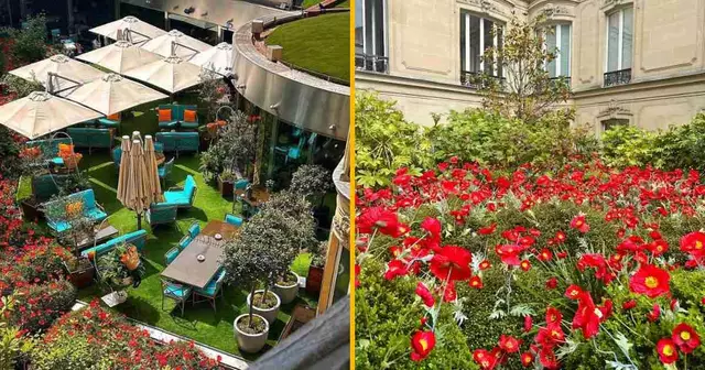 restaurant-paris-le-joy