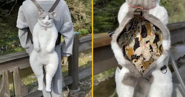 sac-dos-chat-realiste