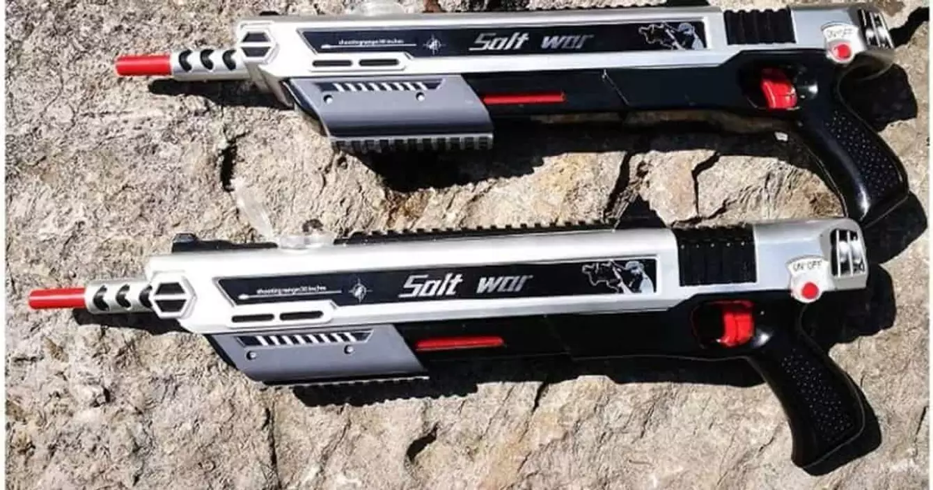 pistolet-sel-tuer-moustiques-insectes