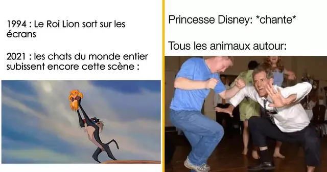 top memes disney