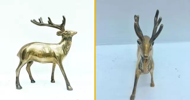 renne-dore-majestueux