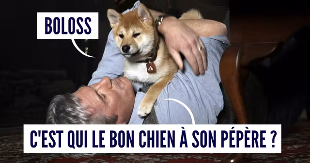 une chien