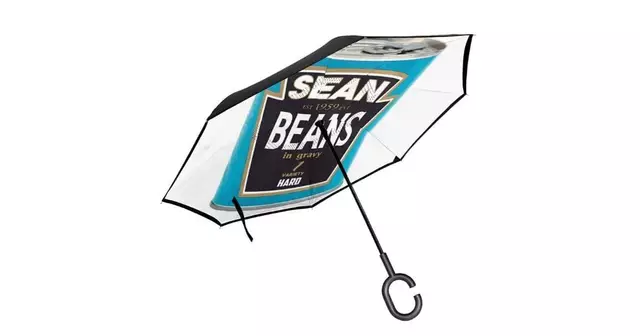 parapluie-flageolets