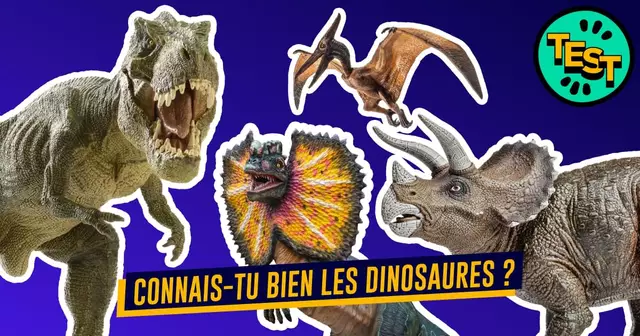 UNE_TOPITO_quiz-OLD-dino