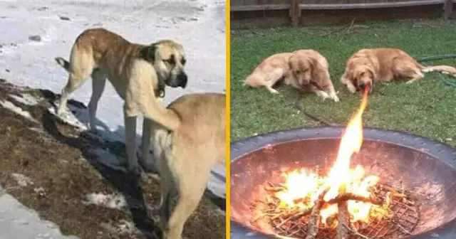 une-top-images-perspective