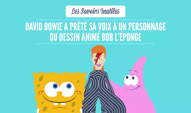 SAVOIRS_INUTILES_DAVID_BOWIE-04