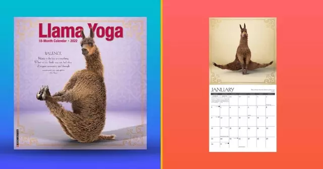 calendrier-lamas-yoga