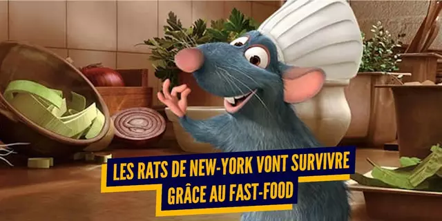 ratatoutille