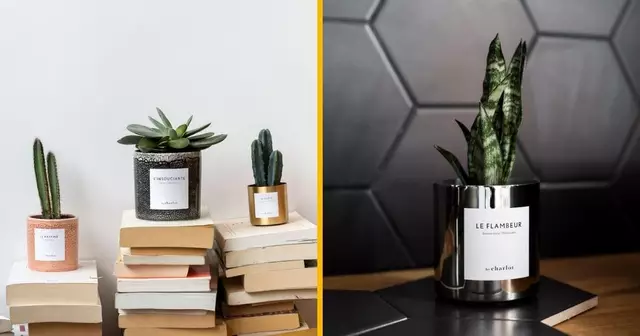 Sans titre - 2021-11-18T150416.818