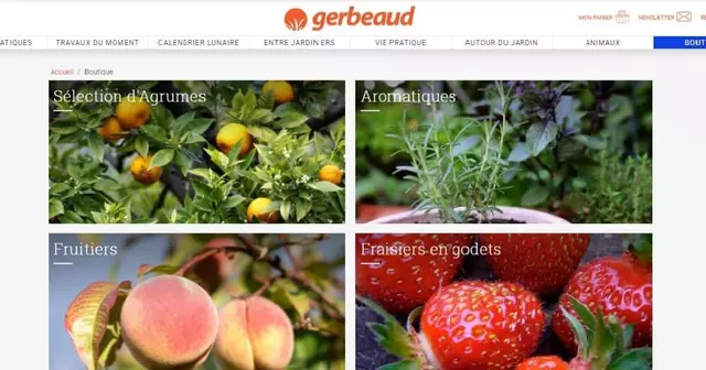 gerbeaud
