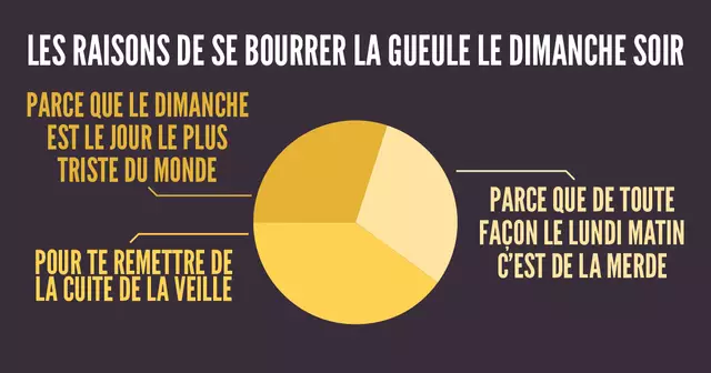 une_infographie_camembert