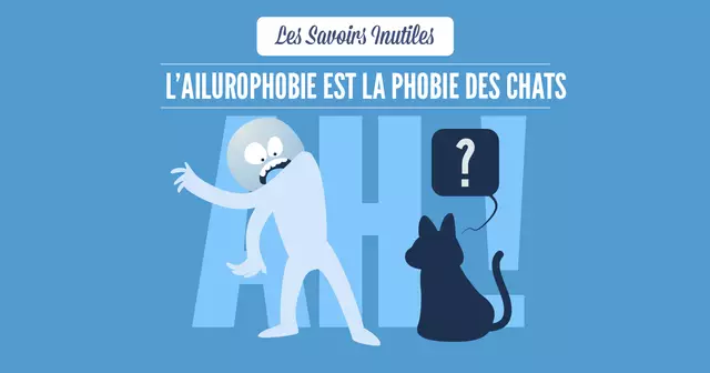 SAVOIRS_INUTILES_CHATS-04 (1)