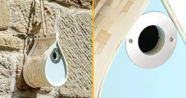 nichoir-oiseaux-goutte-eau