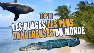 Miniature_Les plages