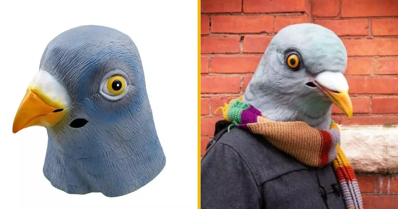 masque-pigeon