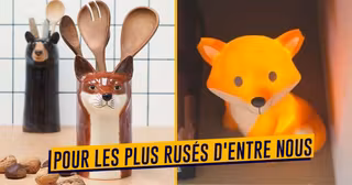 UNE_SHOPPING_RENARD