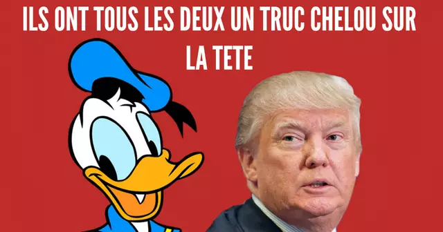 une_donald
