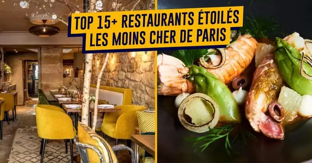 UNE_SHOPPING_fleches_resto-etoile (1)