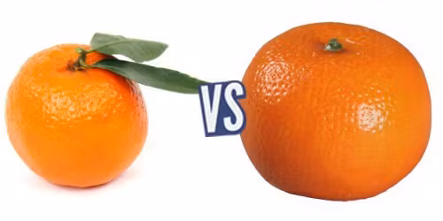 battle-346387-1419617140