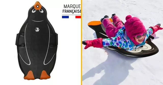 luge-glisser-pingouin