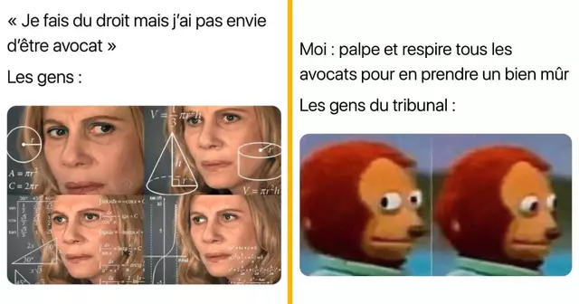 top memes avocats