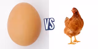 battle-340343-1417617596