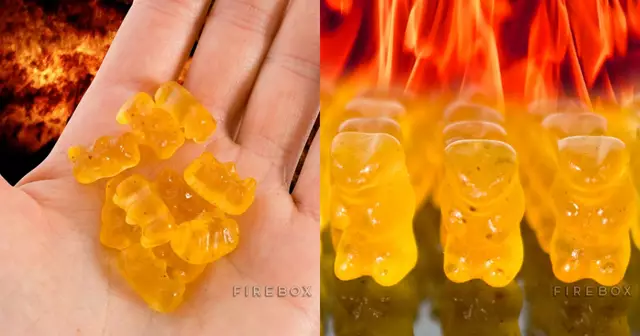 bonbon-nounours-epice