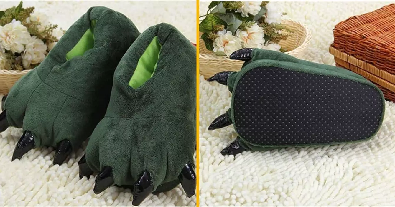 chaussons-pattes-dinosaure