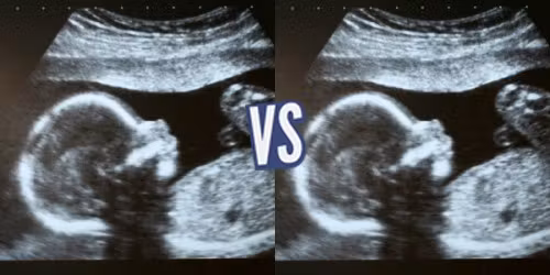 battle-347554-1420221450