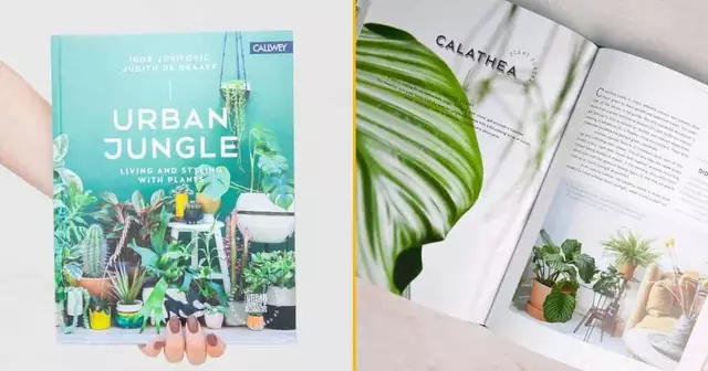 livre-pour-soccuper-plantes