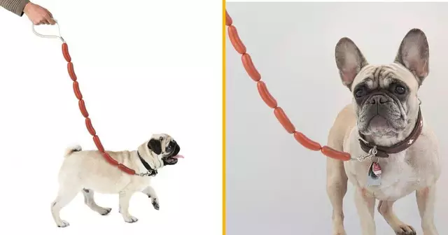 laisse-chien-saucisse