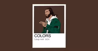 illustration-sch-color-show