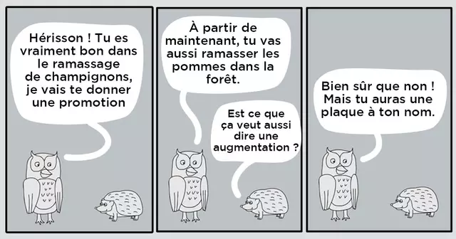 UNE_TOP_HIBOU_HERISSON