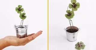 kit-trefle-quatre-feuilles