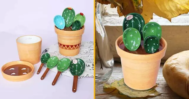 cuillere-mesurer-cactus