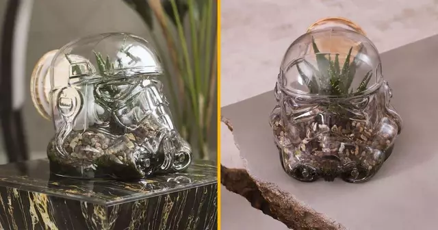 terrarium-cloche-tete-stormtrooper