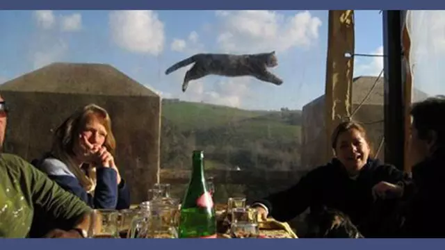 Vignette-Video-chat-photobomb