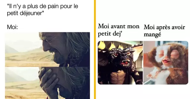top memes petit dej