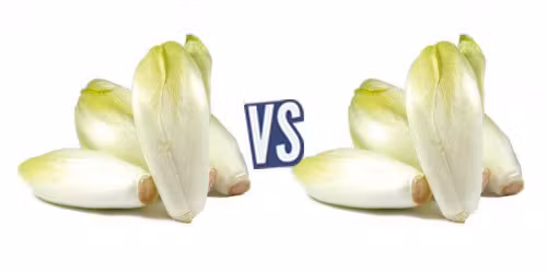 battle-349969-1421321107