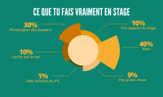 Infographie_stage_Plan de travail 12