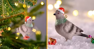 boule-noel-sapin-pigeon