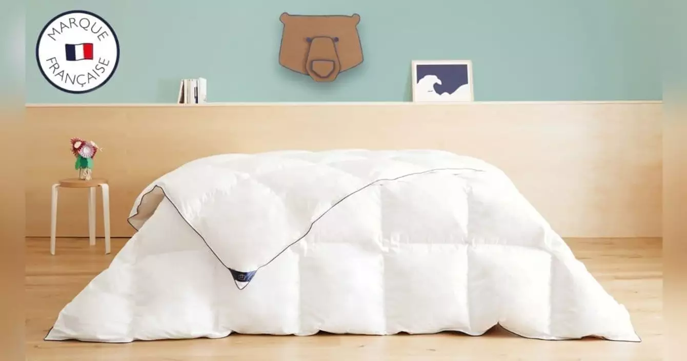 couette-chaude-plume-canard