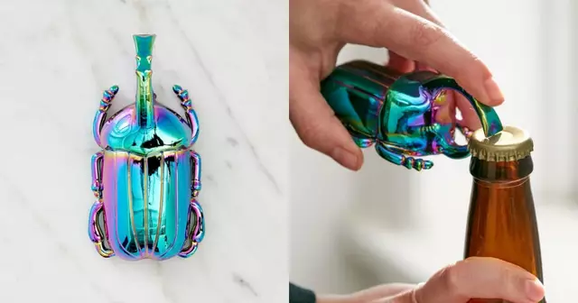 decapsuleur-coleoptere-3