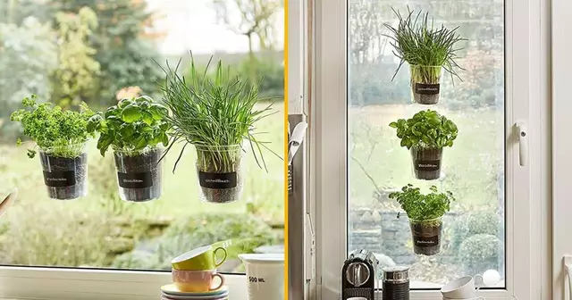 pots-plantes-accrocher-fenetres