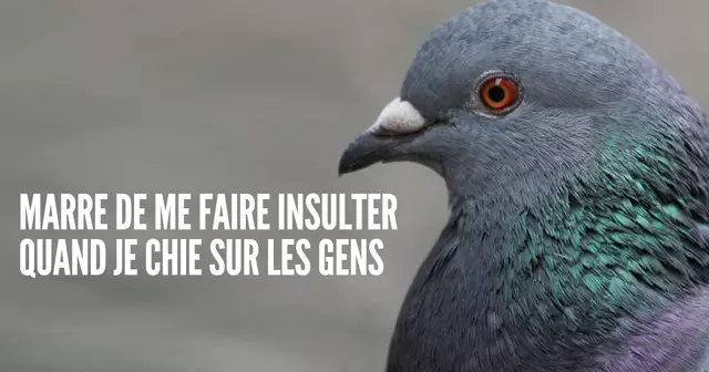 1026833d-ede1-4aee-8a66-239eafc89ab8