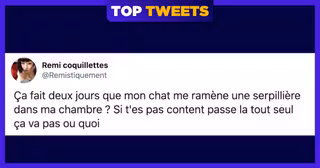 UNE_TOP_TWEETS_SEMAINE_362