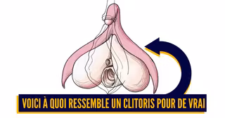 clitoris